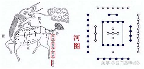 金巽|乾、兑为什么属金？震、巽为什么属木？